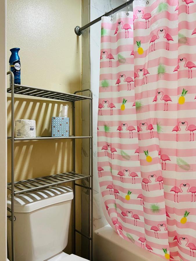 Apartment Near Tpa Airport Tampa Ngoại thất bức ảnh